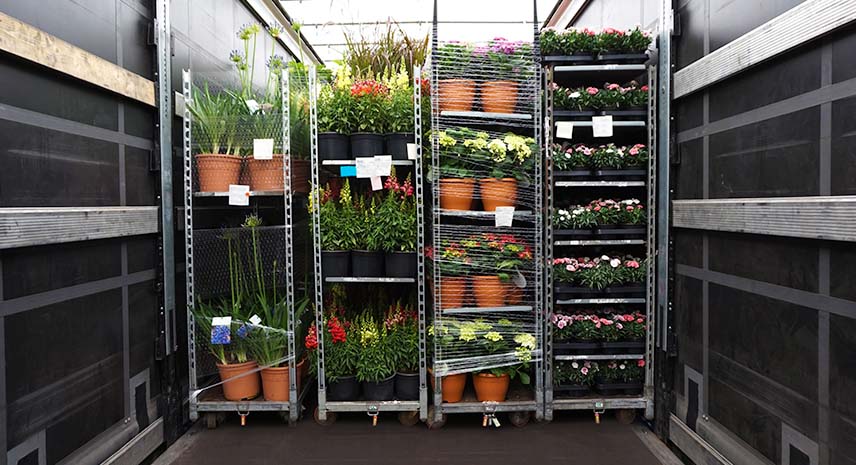 Expert Fresh Cut Flowers Freight Forwarder Services