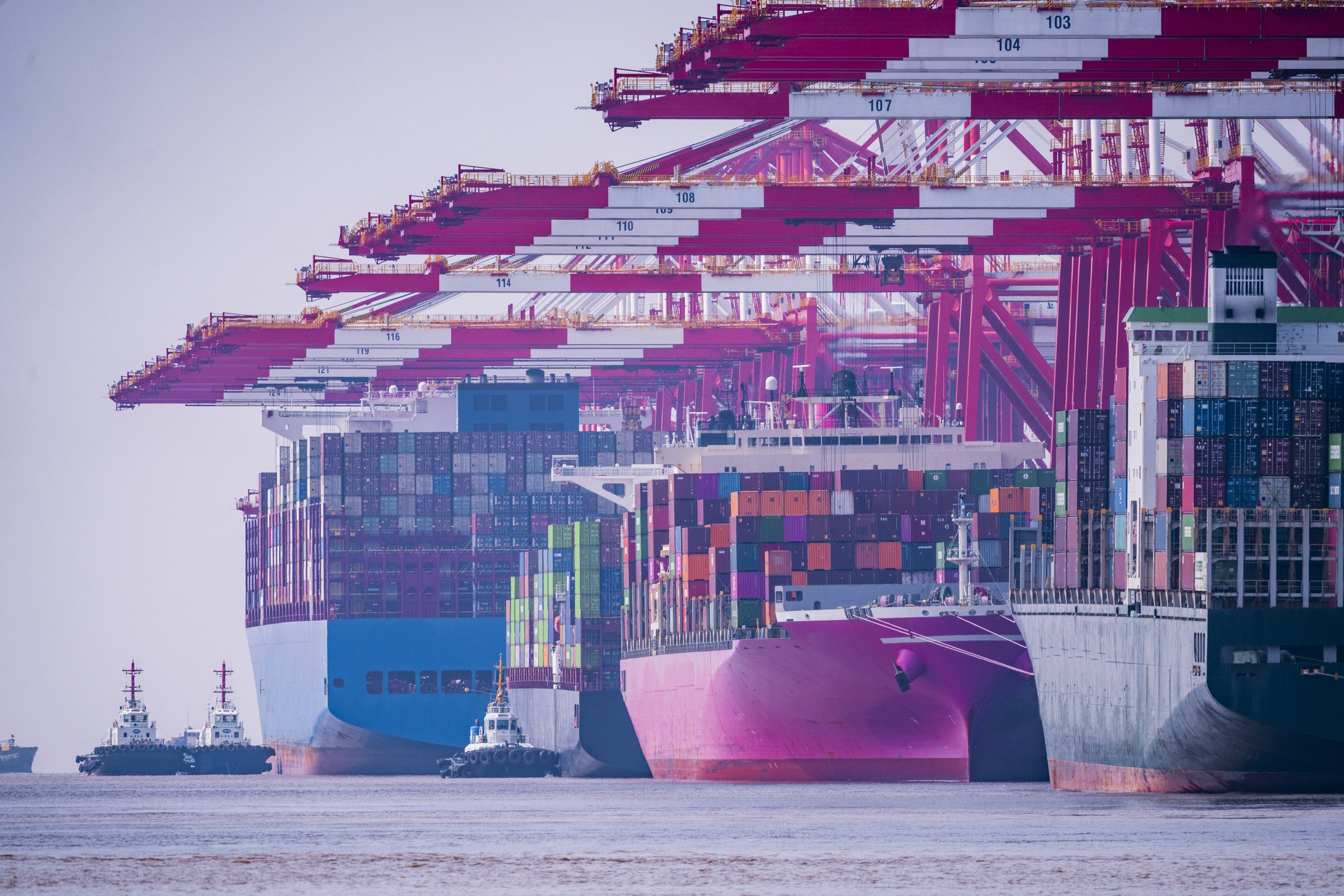 Shanghai Slump - Delays & Congestion