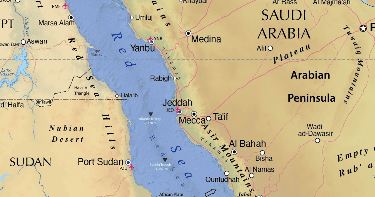 Navigating Industry-wide Disruptions: The Red Sea