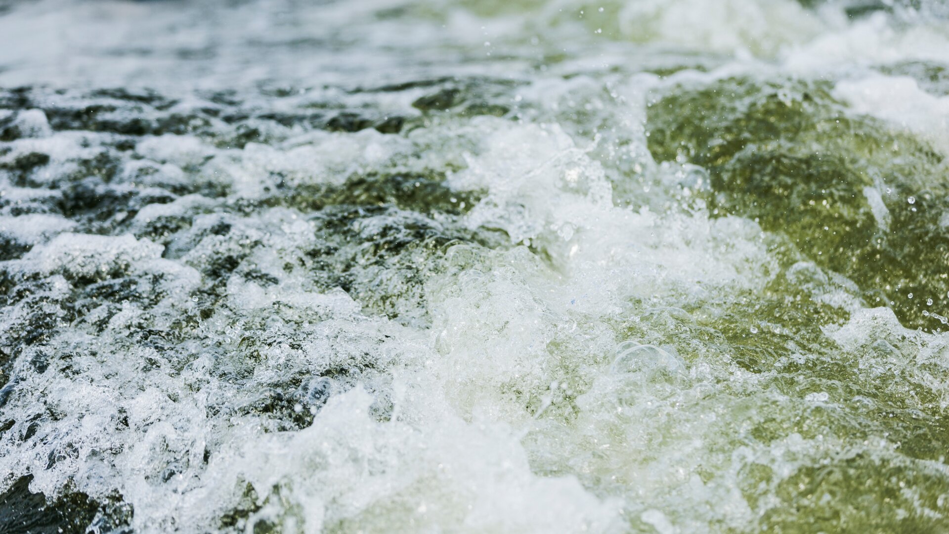 Adapting to Maritime Shifts: Zarach's Approach in Turbulent Freight Waters