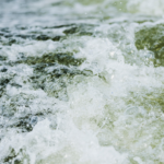 Adapting to Maritime Shifts: Zarach's Approach in Turbulent Freight Waters
