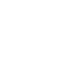 consulting auditing logistics with cost reduction